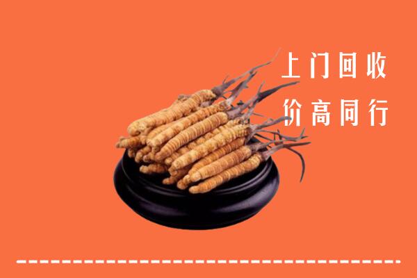 高价求购：五家渠回收散虫草