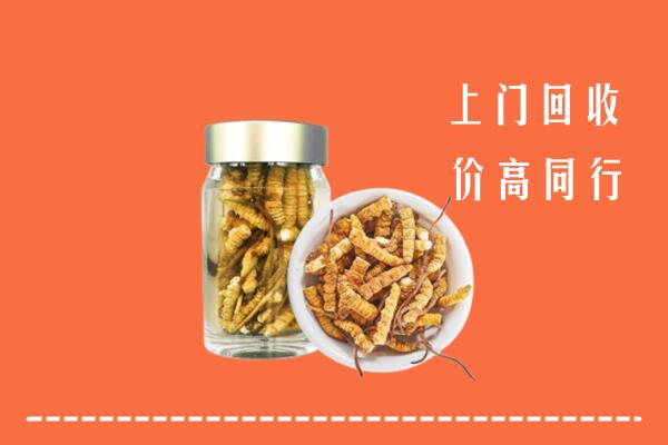 五家渠回收冬虫夏草