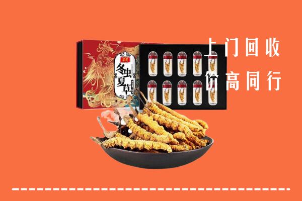 五家渠回收虫草